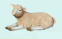 Lamb Resting #7264